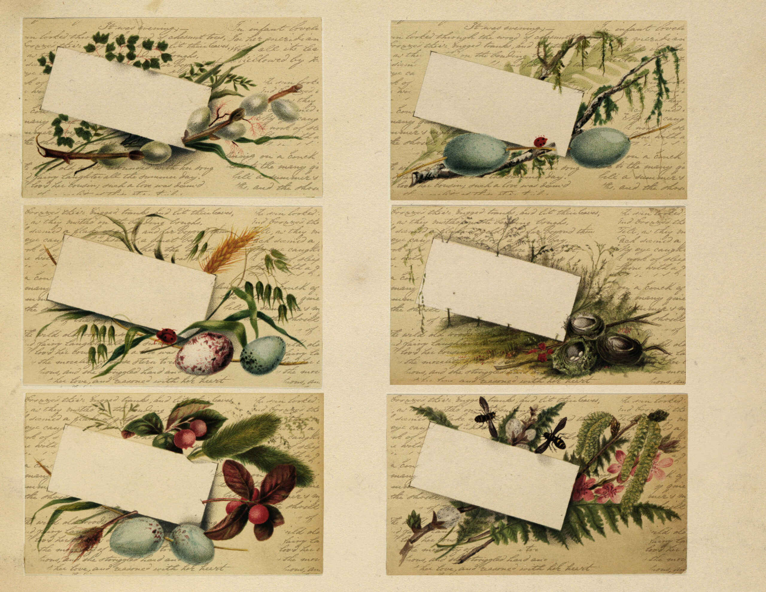 sonnettonatureephemera7 sonnettonatureephemera7